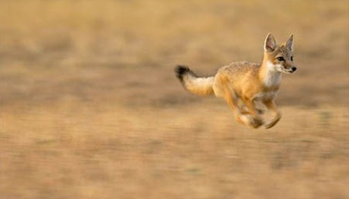 tumblr_lnb2j5pyDq1qz6f9yo1_500