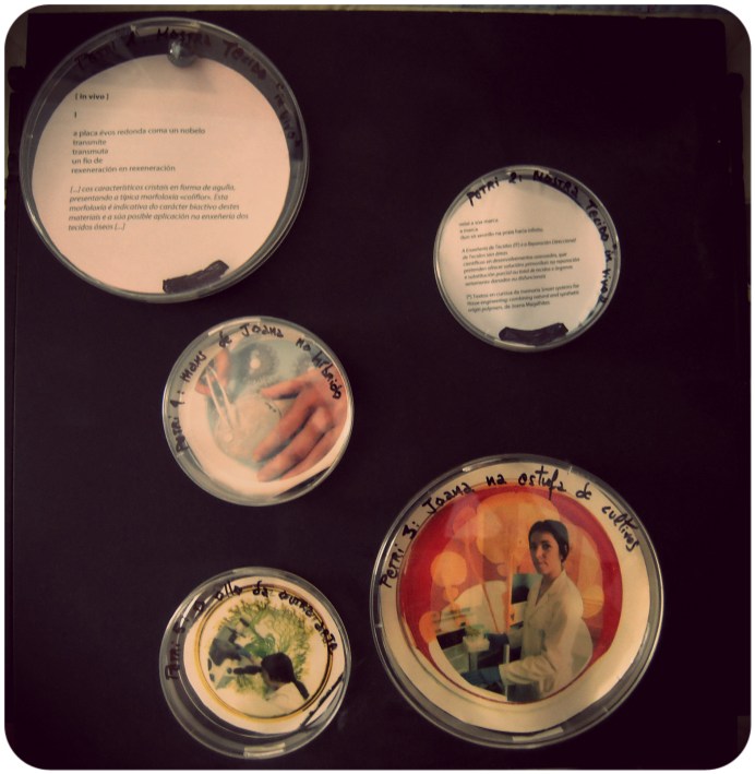 Placas Petri con fotografías e fragmentos do poema [in vivo]