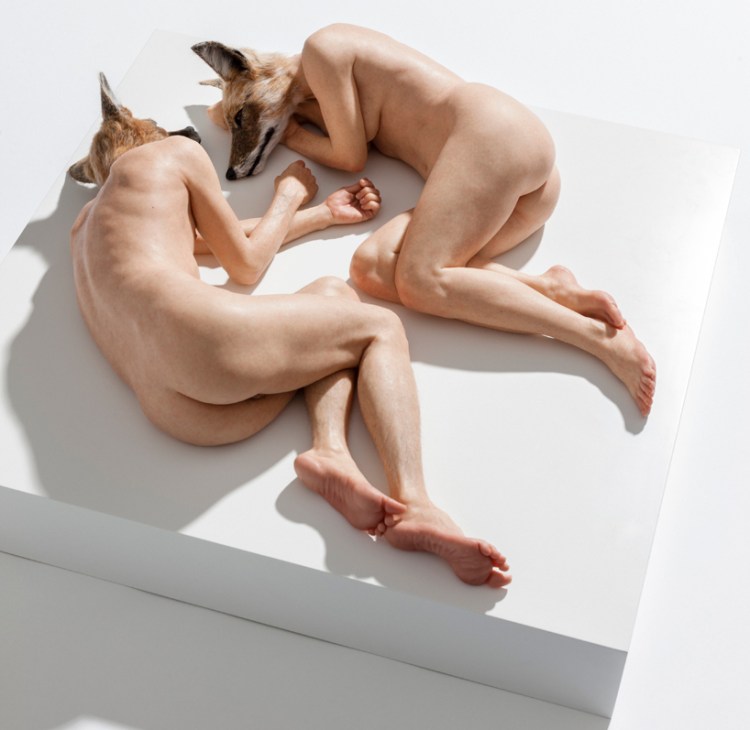 tumblr_mzbnu6jLBe1qz6f9yo1_1280