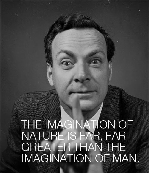 tumblr_mq6piamKp31rqpa8po1_500