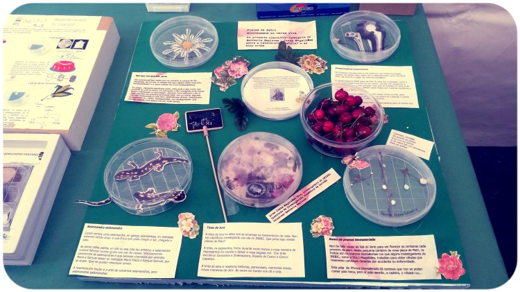 placas de Petri con cereixas