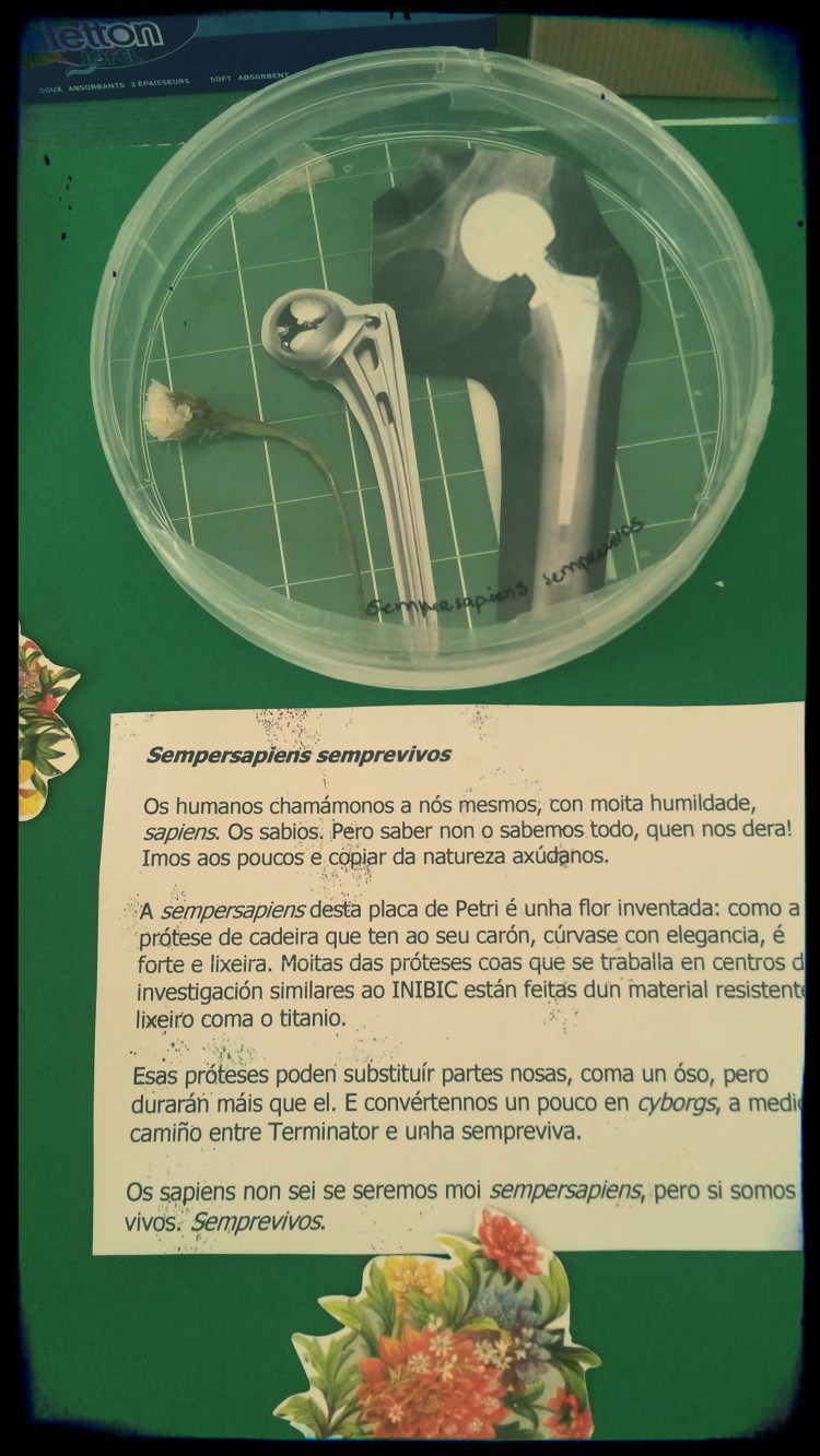 Sempersapiens Sempervivens