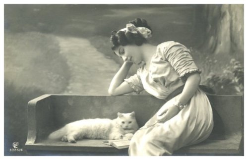 tumblr_leu4plCArh1qdqhjko1_500