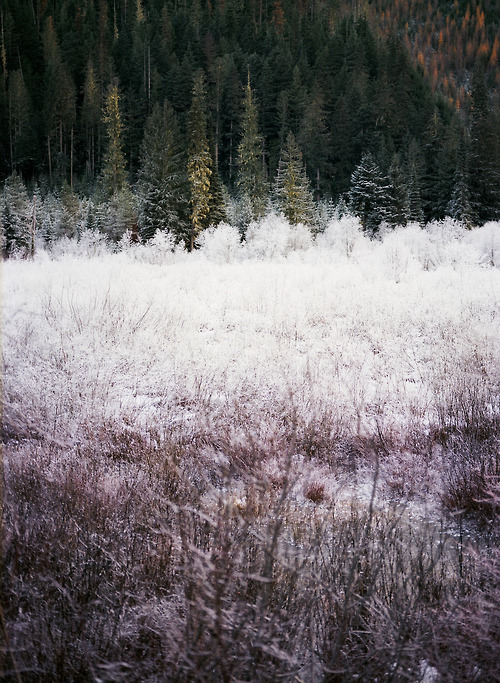 tumblr_mxlqangdwF1sje91eo1_500