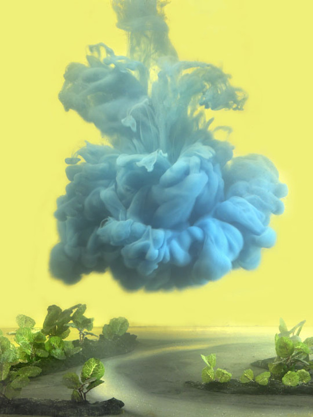 tumblr_n1x97pEnq11qz6f9yo5_1280