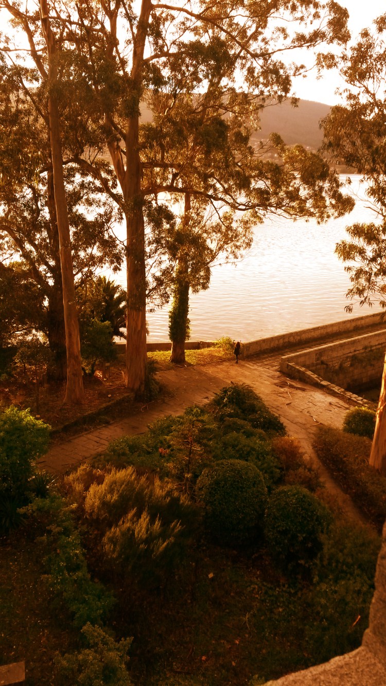 Sholeh and the island.jpg