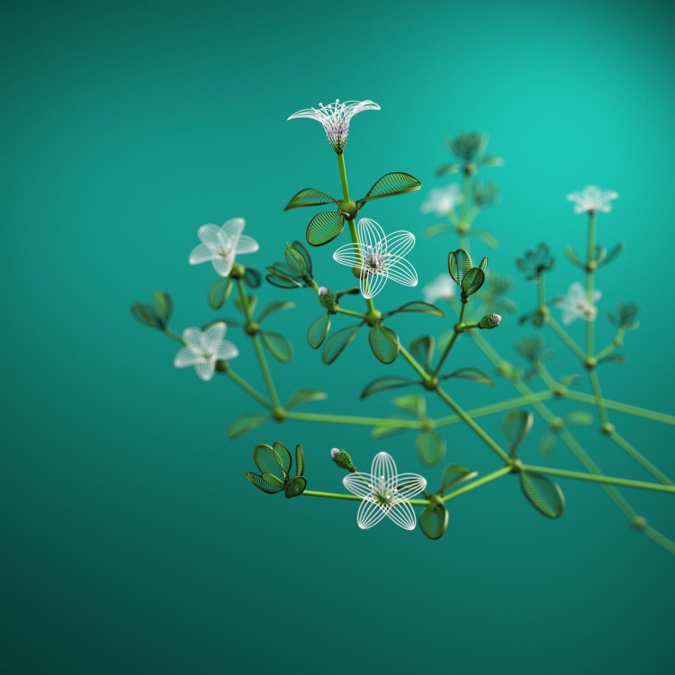 tumblr_och9a7lD7Q1qz6f9yo4_1280