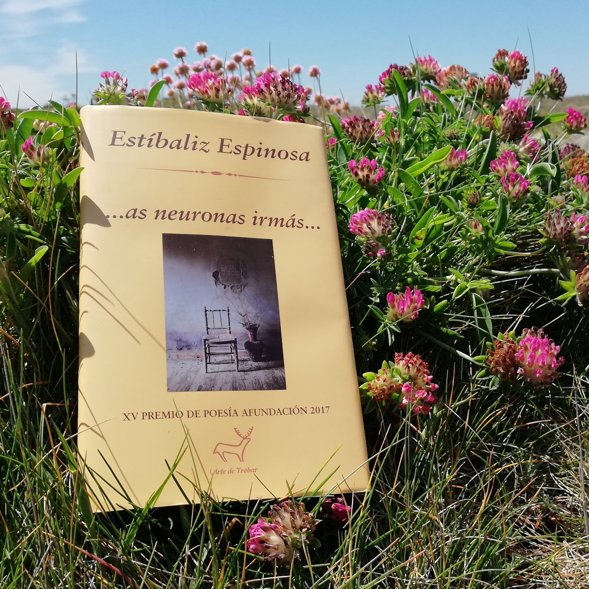As neuronas irmás ( col. arte de Trobar, 2018. Premio Afundación-Pen Club&nbsp;2017)