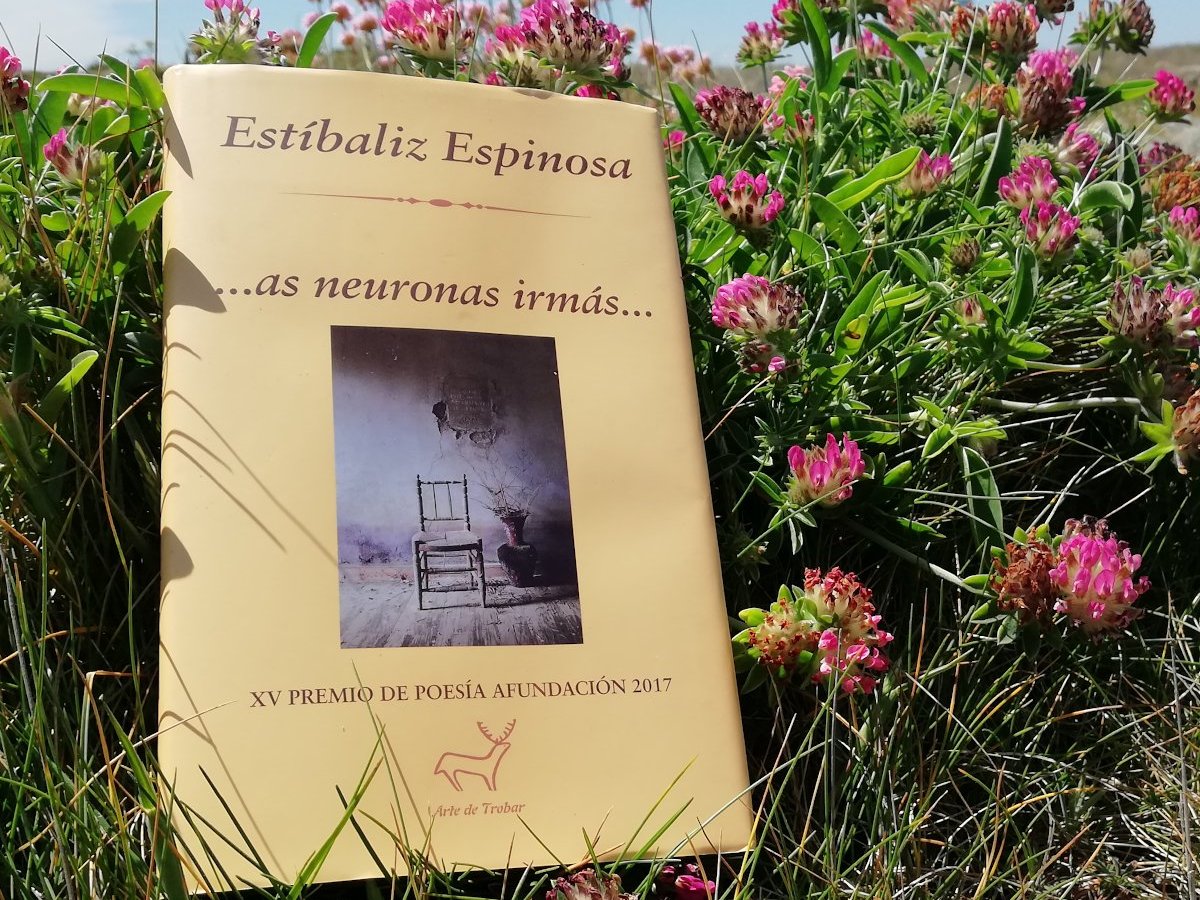 As neuronas irmás ( col. arte de Trobar, 2018. Premio Afundación-Pen Club&nbsp;2017)