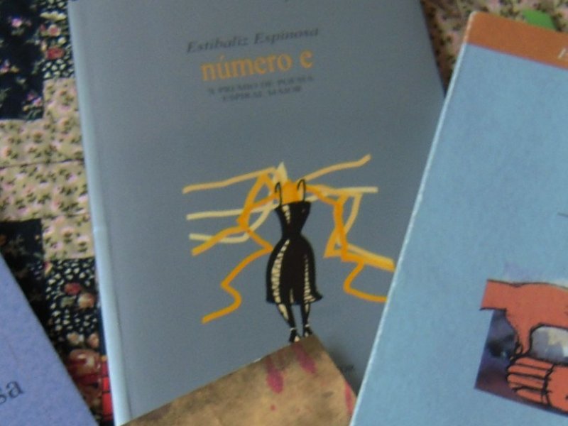 número e (Espiral Maior, 2003. Premio Espiral Maior,&nbsp;2001)