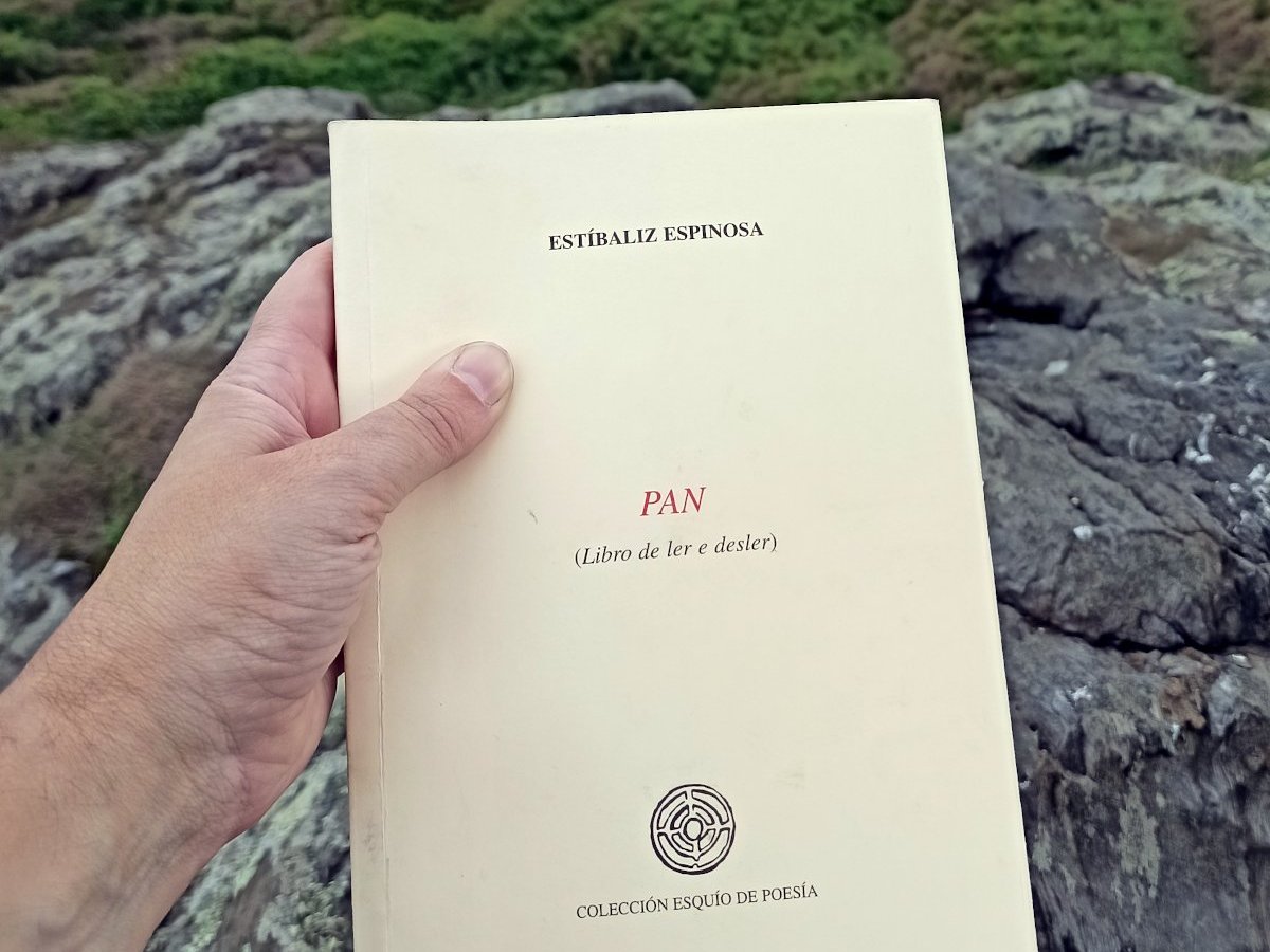 Pan (libro de ler e desler) (col. Esquío,&nbsp;2000)