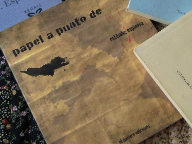 Papel a punto de (El Gaviero Eds.,&nbsp;2011)
