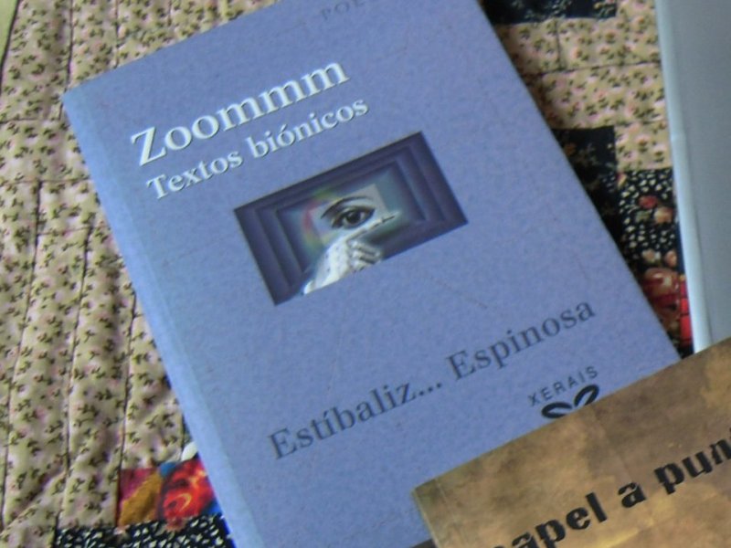 Zoommm. Textos biónicos ( A Regueifa Plataforma -online-, 2007; Eds. Xerais,&nbsp;2009)